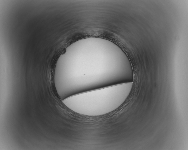 X0000114641058200910200936