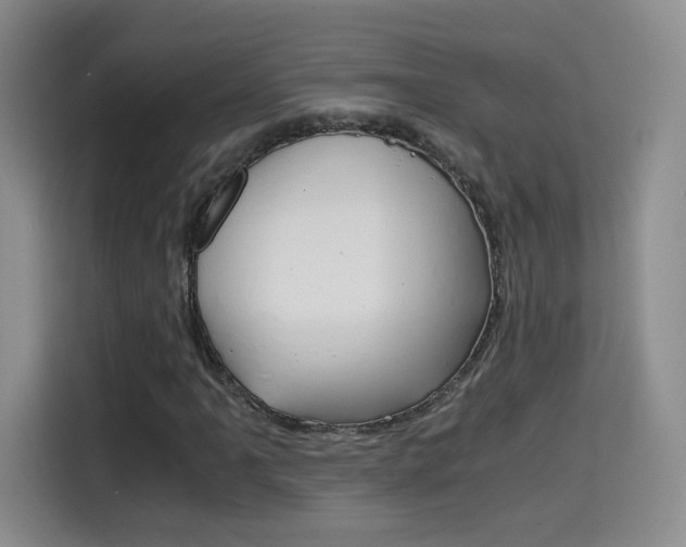 X0000114641061200910200936