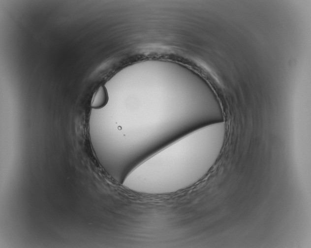 X0000114641063200910200936