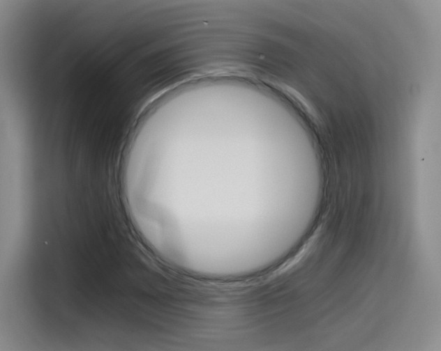 X0000114641065200910200936