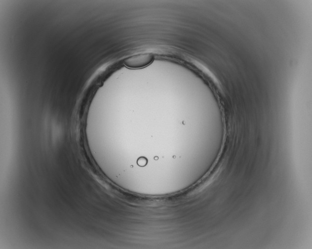 X0000114641067200910200936