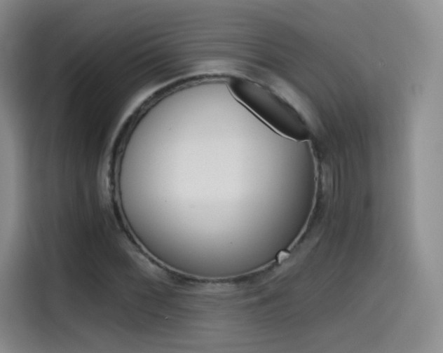 X0000114641068200910200936