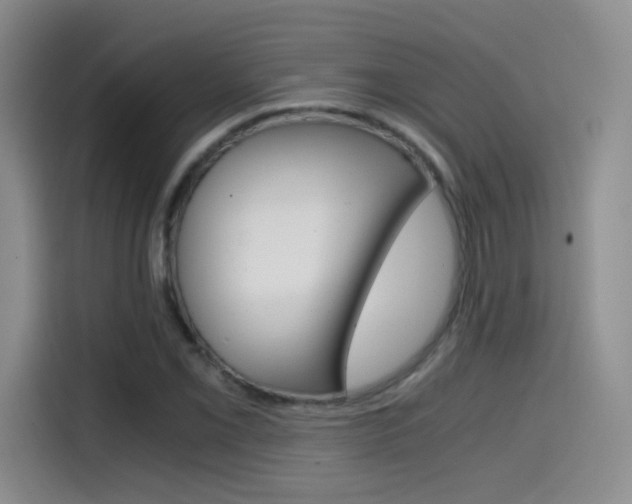 X0000114641069200910200936