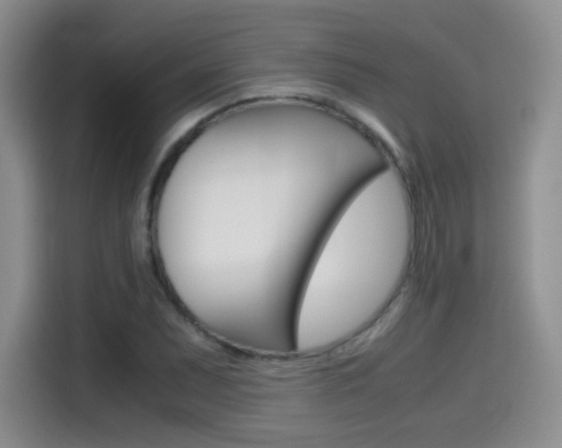 X0000114641071200910200936