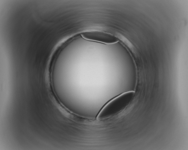 X0000114641072200910200936
