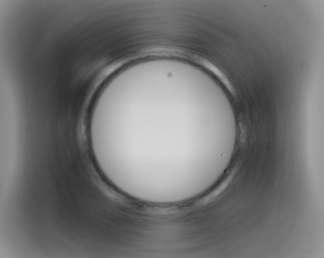 X0000114641074200910200936
