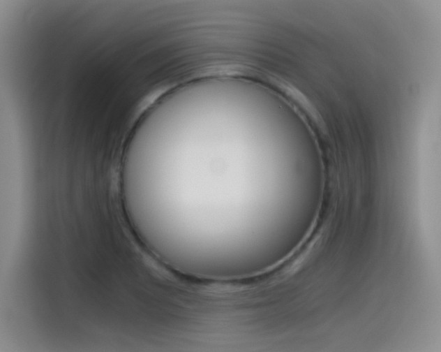 X0000114641081200910200936