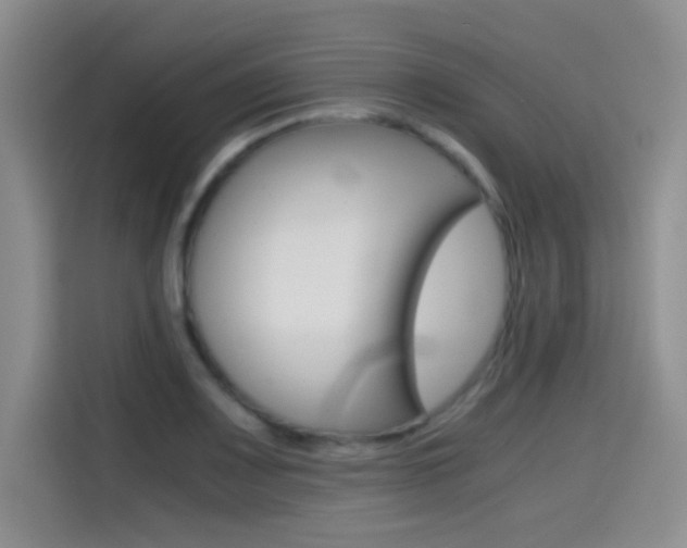 X0000114641083200910200936