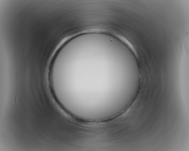 X0000114641091200910200936