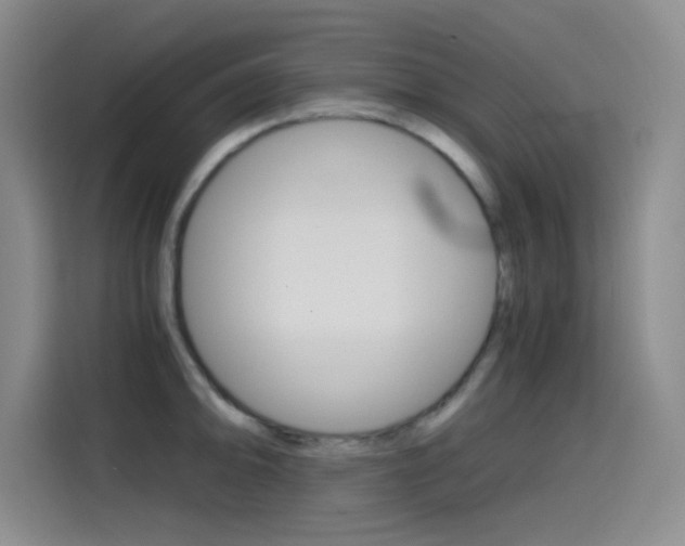 X0000114641094200910200936
