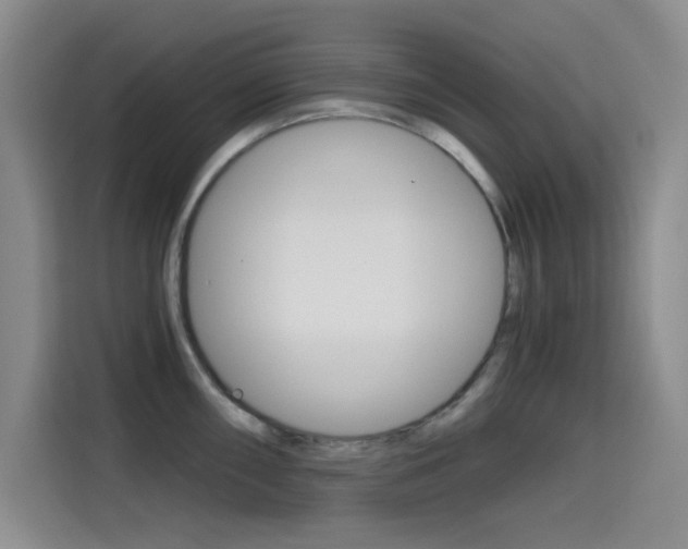 X0000114641098200910200936