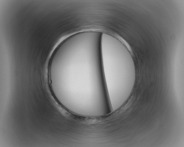 X0000114641099200910200936