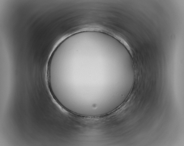 X0000114641103200910200936