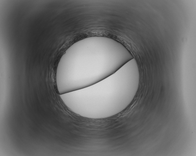 X0000114641107200910200935
