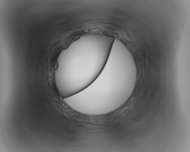 X0000114641109200910200935