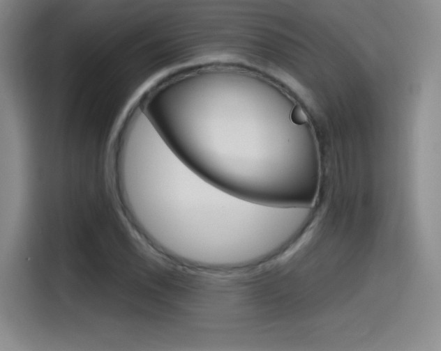 X0000114641118200910200935