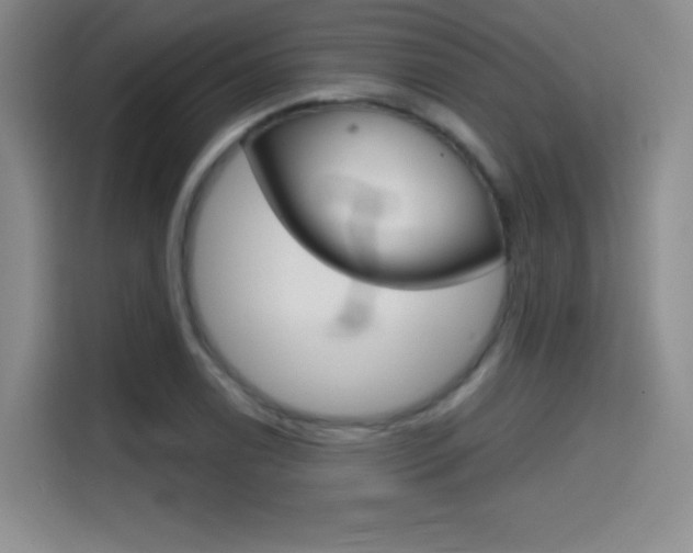 X0000114641122200910200935