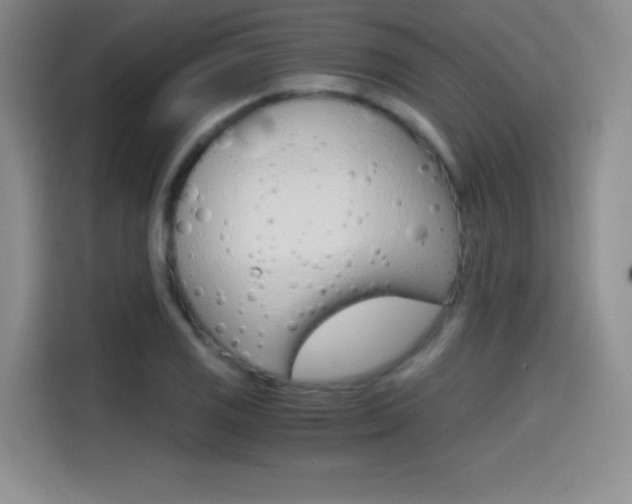 X0000114641125200910200935