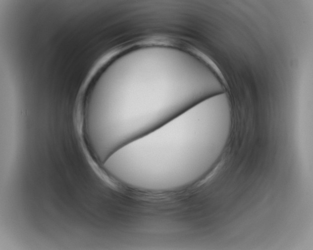 X0000114641131200910200935