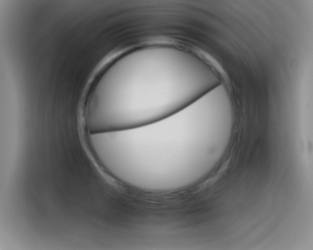 X0000114641133200910200935