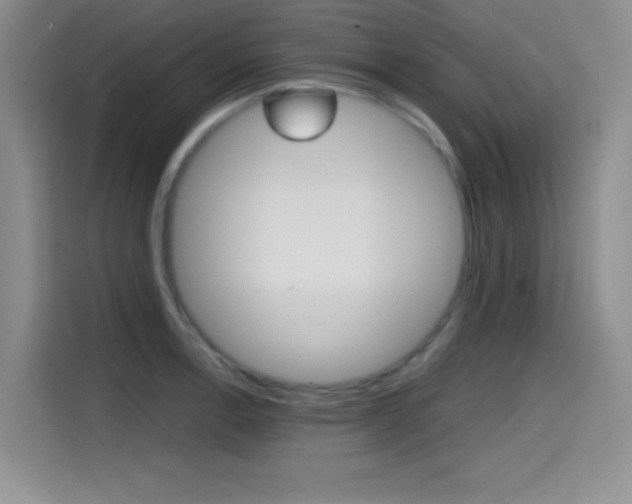X0000114641138200910200935