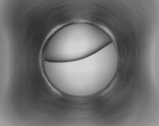 X0000114641141200910200935