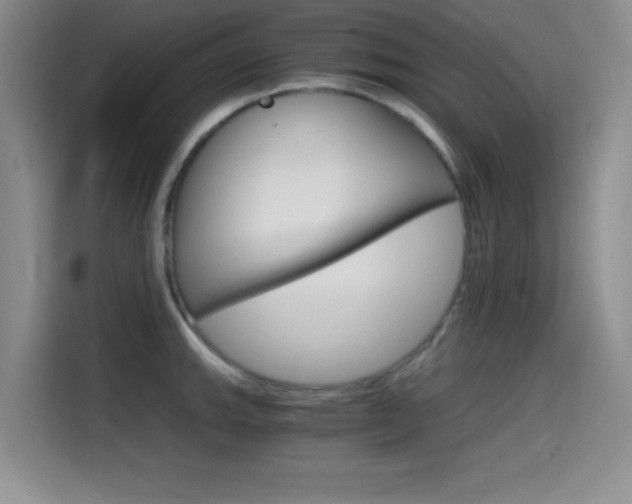X0000114641143200910200935