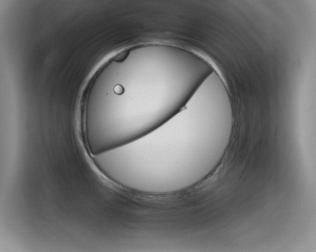 X0000114641147200910200935
