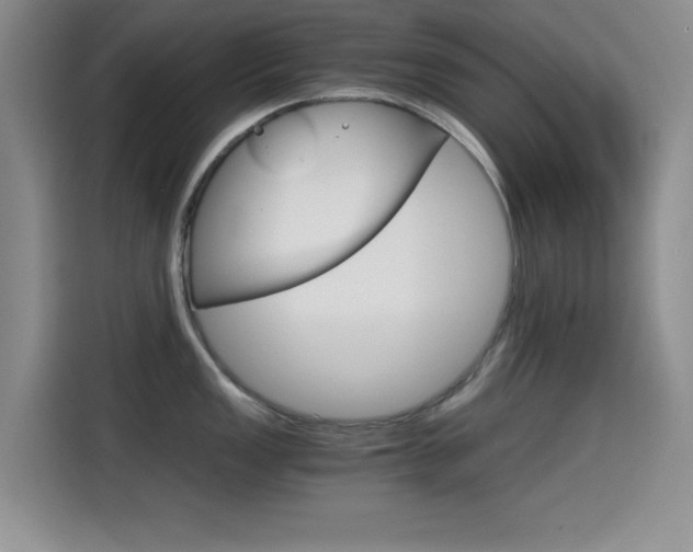 X0000114641149200910200936