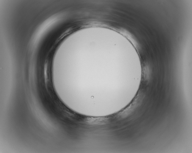 X0000114641150200910200936