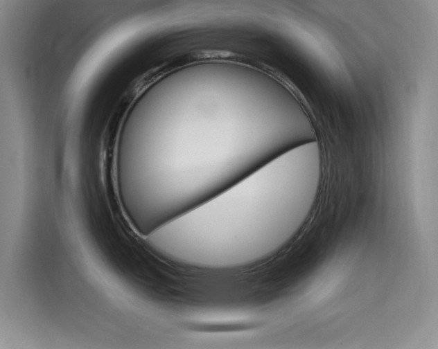 X0000114641151200910200936