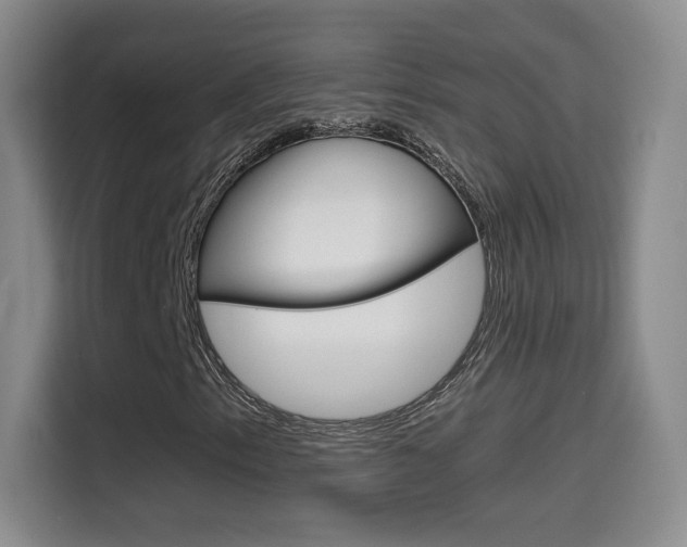 X0000114641153200910200935