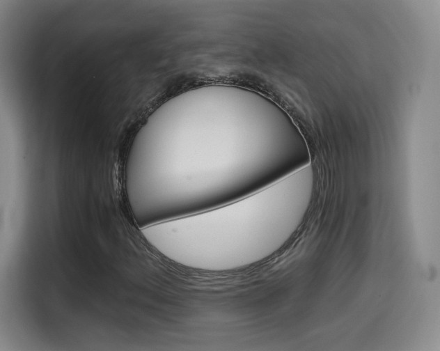 X0000114641156200910200935