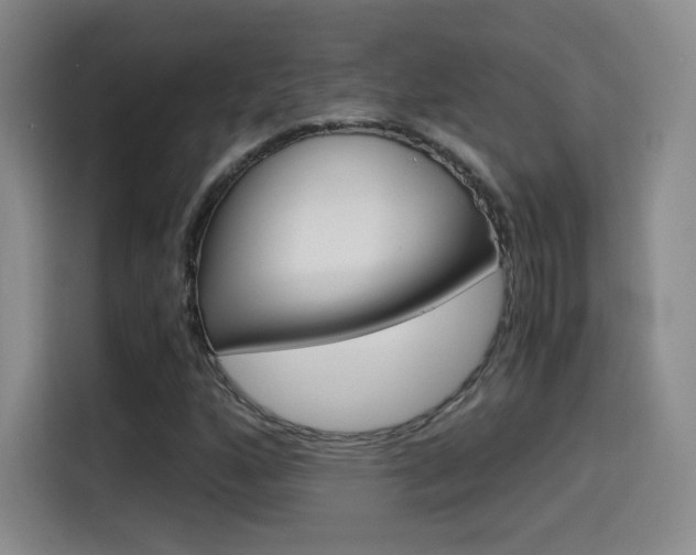 X0000114641160200910200935