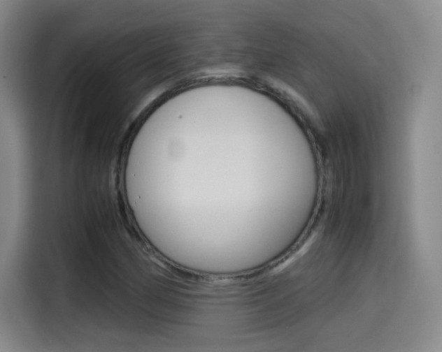X0000114641162200910200935