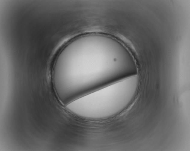 X0000114641167200910200935