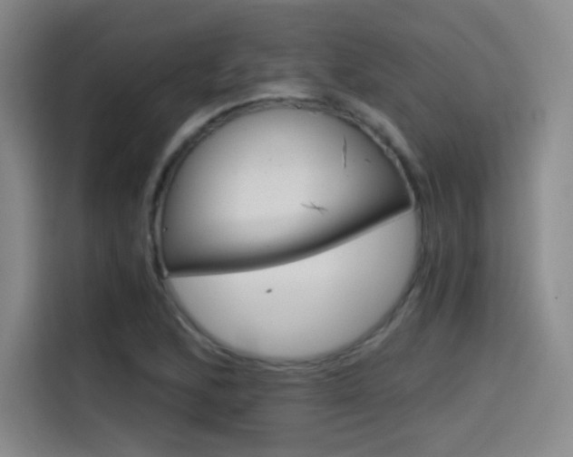 X0000114641168200910200935
