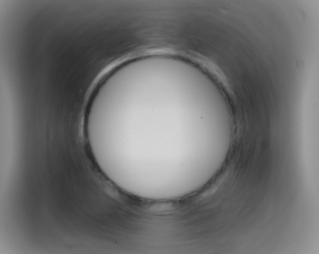X0000114641174200910200935