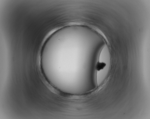 X0000114641179200910200934