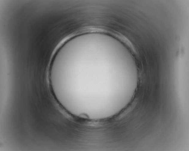 X0000114641182200910200934