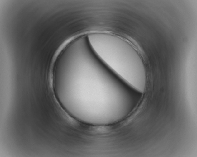 X0000114641188200910200934