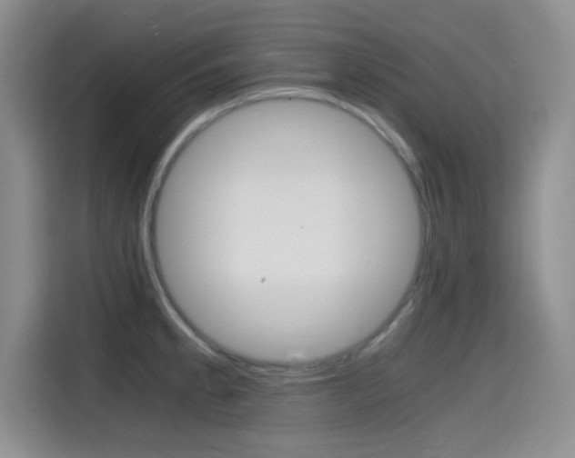 X0000114641189200910200934