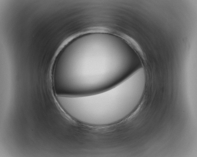 X0000114641192200910200934