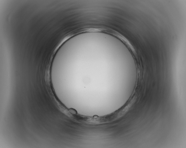 X0000114641194200910200934