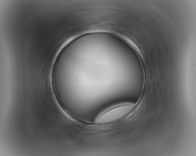 X0000114641197200910200934