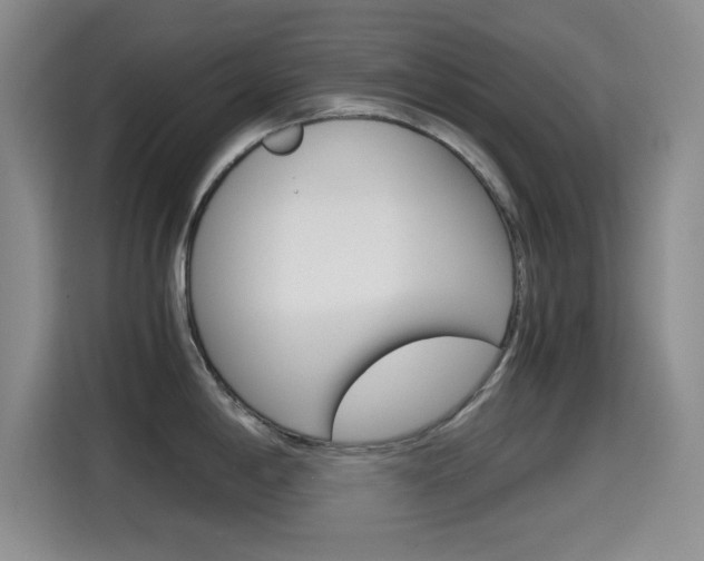 X0000114641198200910200934