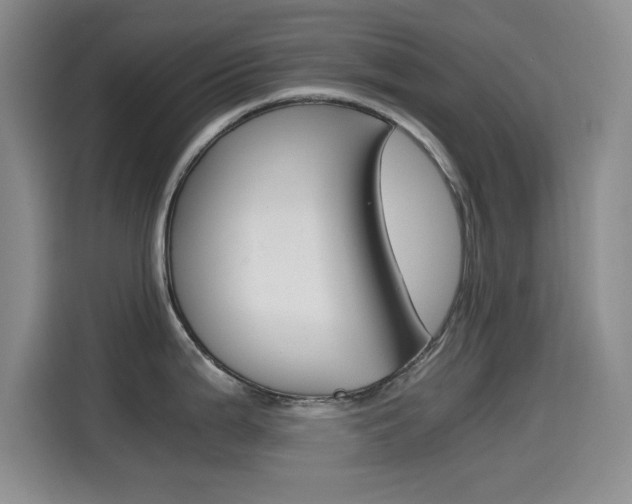 X0000114641199200910200934