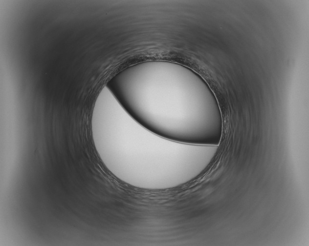 X0000114641202200910200934