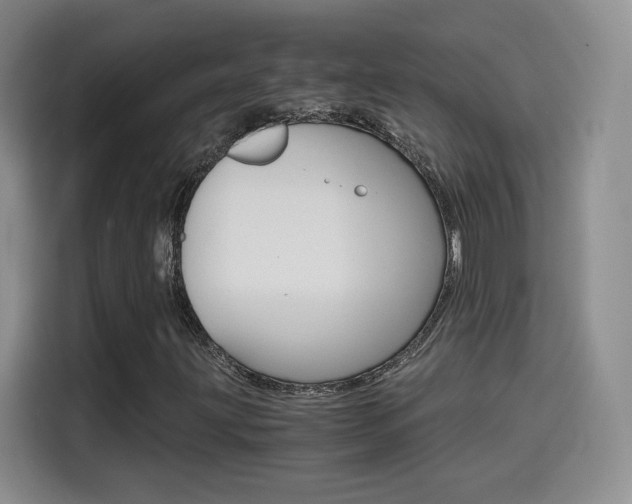 X0000114641203200910200934