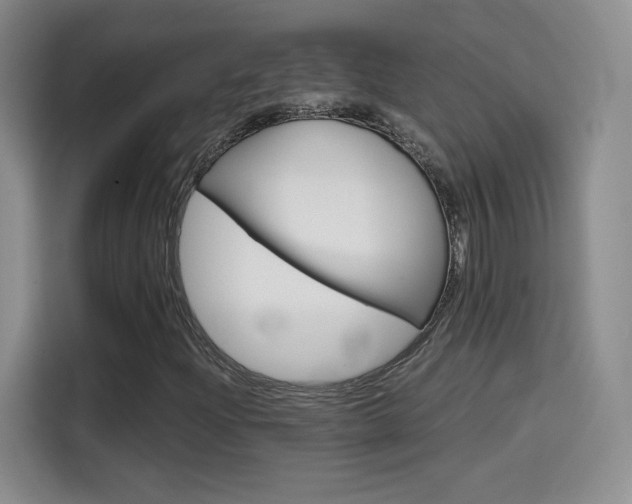 X0000114641204200910200934